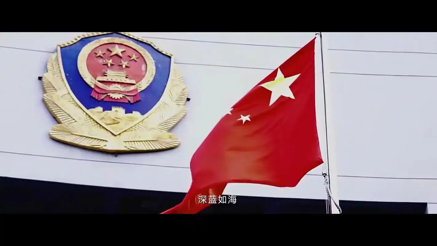 警徽闪亮,深蓝如海.追完了《尘封十三载》之后,被卫峥嵘说的话 - 抖音