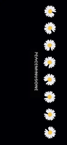 权志龙gd小雏菊壁纸