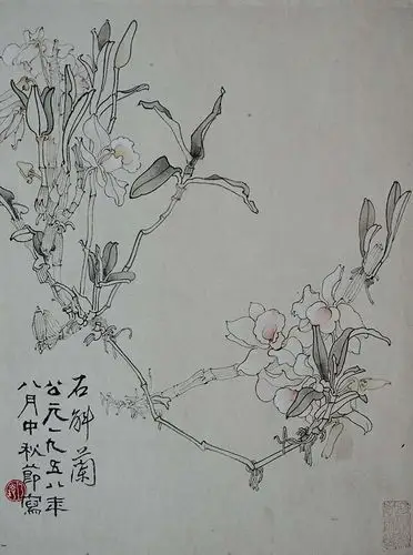 郑乃珖 花鸟画课徒稿 石斛兰 43.3cm×33cm