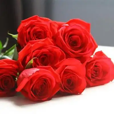 好看的红玫瑰头像热情似火的红玫瑰图片