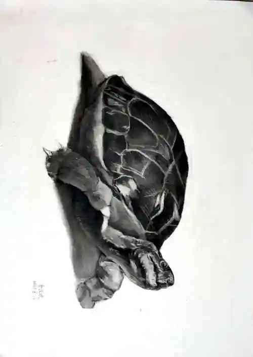 高一年级专业5班 暑期集训精微素描作品