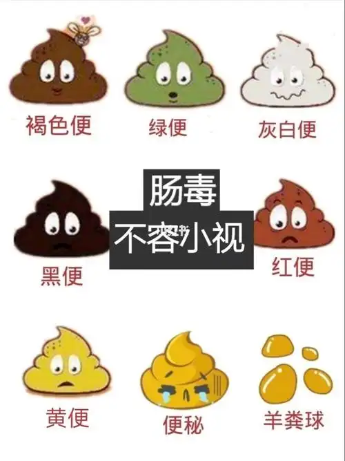 9215从大便颜色判断健康状况7515纯干货7575_养生_便秘
