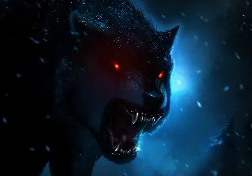 霸气狼手绘插画图片一匹孤独的狼