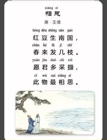 跟着诗词去旅游:你不知道的相思红豆 | 《相思》