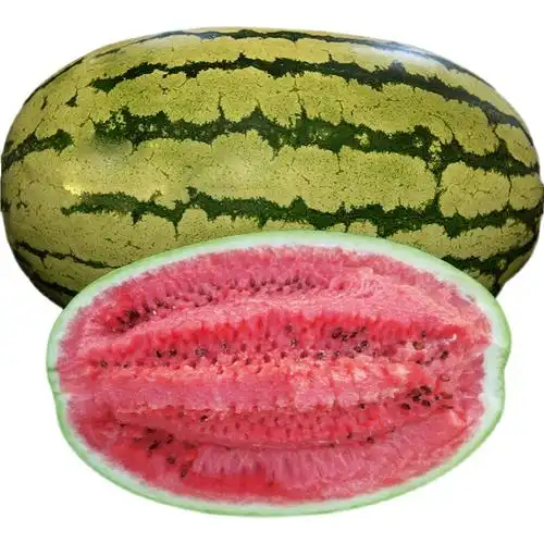 硒瓜应季包新鲜西瓜水果硒斤宁夏中卫富砂石缝西瓜