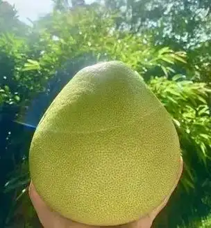 超好吃的傣柚上市!西双版纳产地发货6015 清甜爽 - 抖音