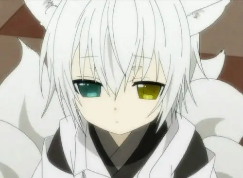 妖狐x仆  御狐神双炽