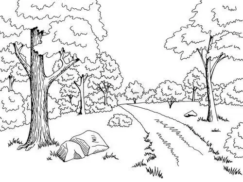 简笔画带颜色森林