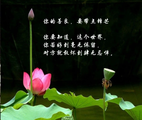 你的善良要自带锋芒