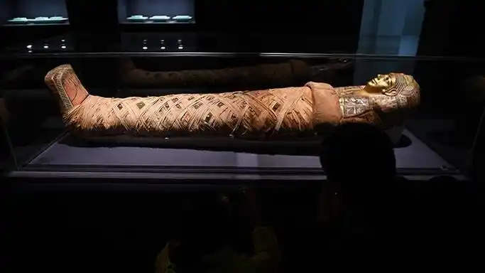 法老祭司木乃伊它们穿越千年来浙博了