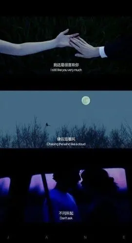 aurora 的电影台词拼接