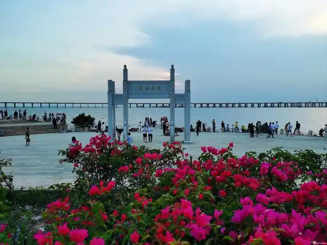 深圳固戍码头——手机随拍 - 摄影沙龙 - 深圳论坛