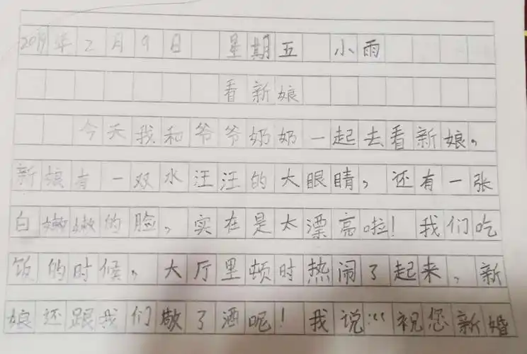 每天我都会写一篇日记,来记录寒假生活!