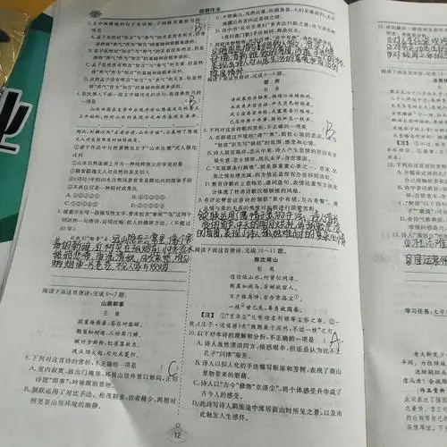 高一十班王晨曦的语文作业