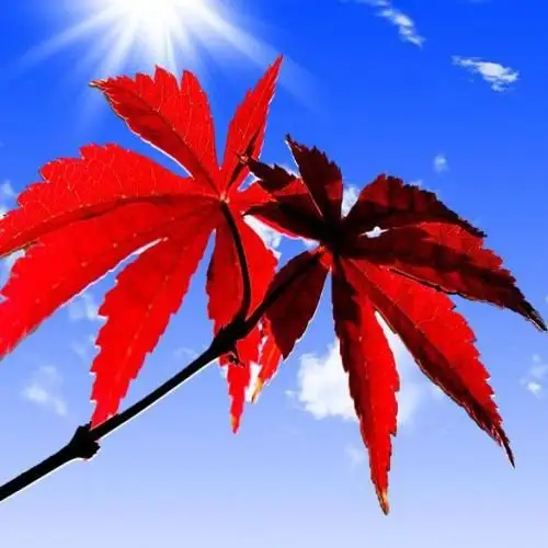 微信头像刘姓图片大全_第1页