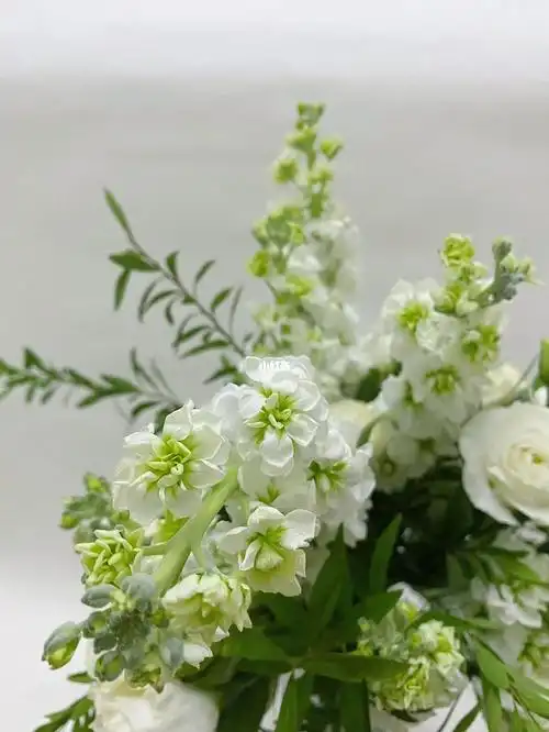 白绿色真的绝配60清新淡雅的花束超养眼