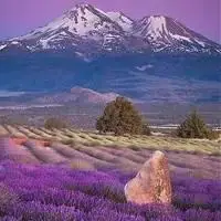 美丽的照片头像大自然风景图片点击鼠标右键下载