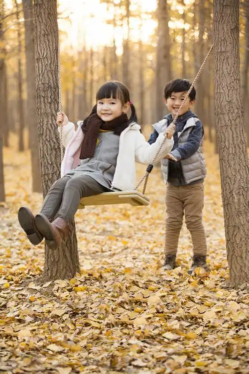 小男孩推妹妹荡秋千