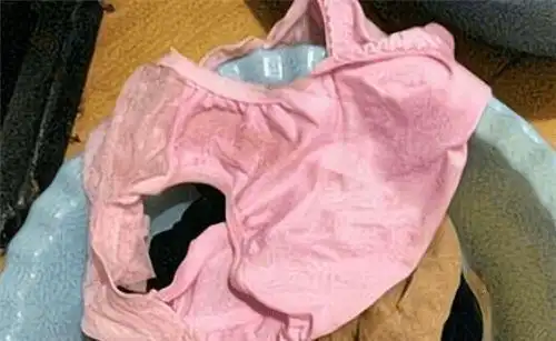 江苏内裤投毒案纪实男子不满妻子与异性聊天浸百草枯致其身亡