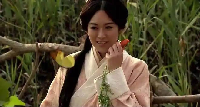 张飞的老婆是抢来的原来张飞的老婆夏侯涓是曹操的侄女