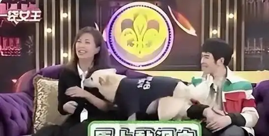 周杰伦|张惠妹|修杰楷|林有慧|金曲奖|华语歌手|华语音乐_网易订阅