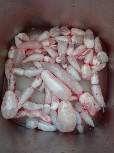 【家常】红烧鱼泡油豆腐