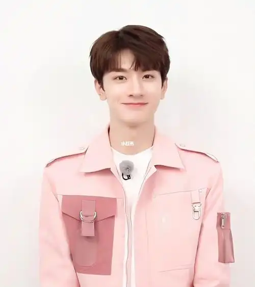 林一证件照两则