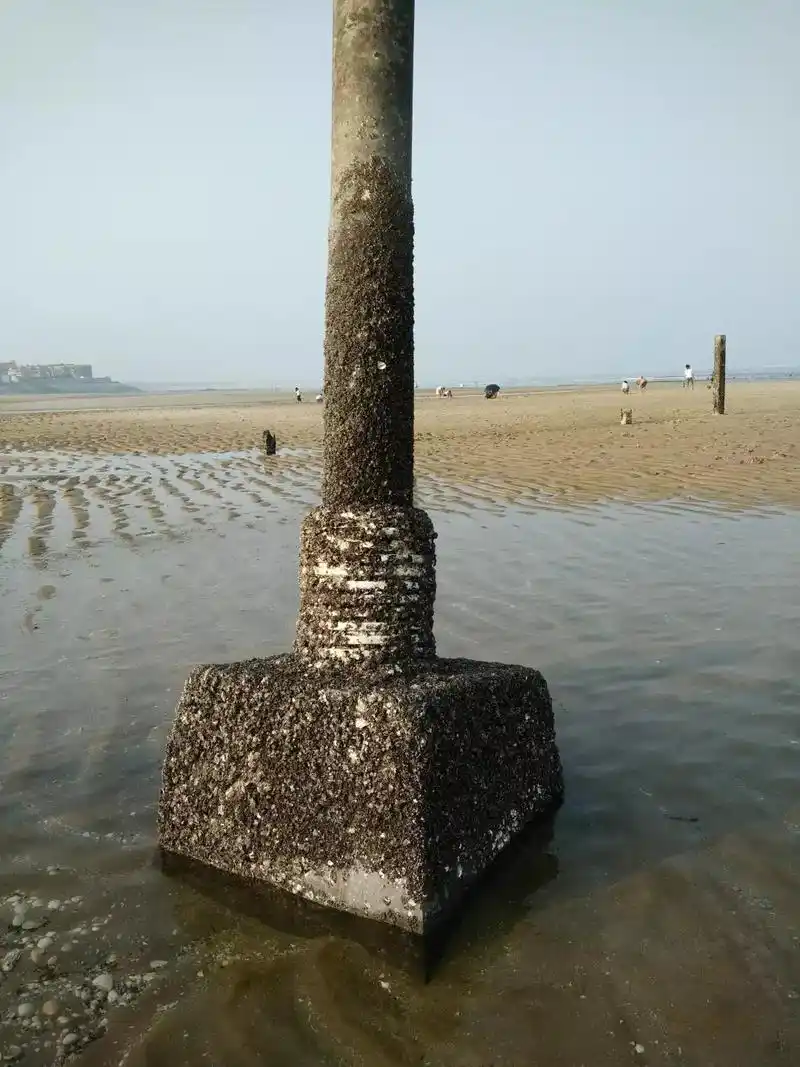 深沪湾海底古森林遗迹自然保护区