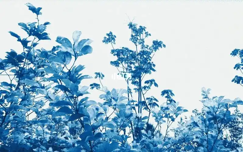 泼辣自从改版之后怎么用都不顺手get 了醒图以后真