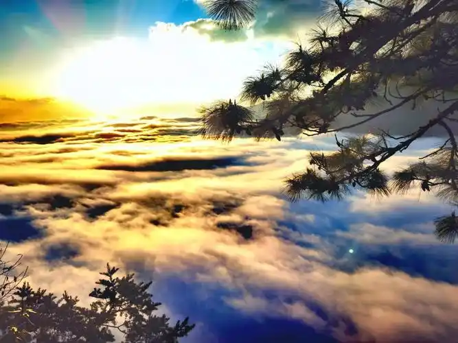 哀牢山云海日出精选照片集(一)!#哀牢山云海日出#自然风光 - 抖音