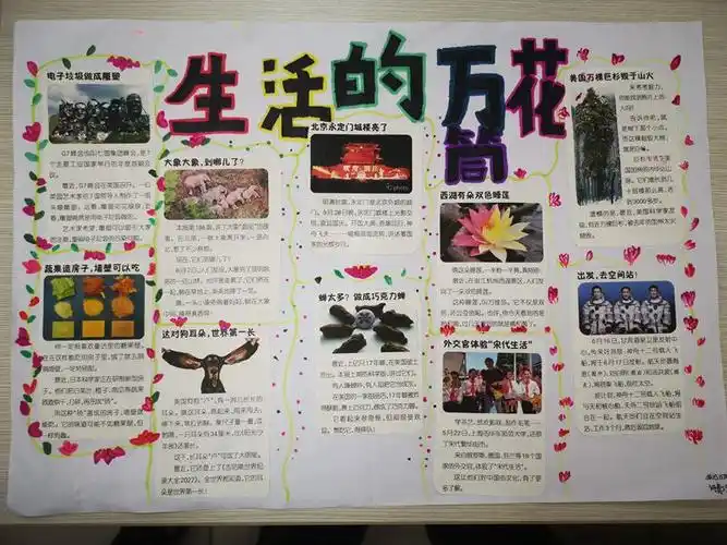 活动中,各班学生按照活动方案,在老师的指导下对收集到的报刊进行筛选