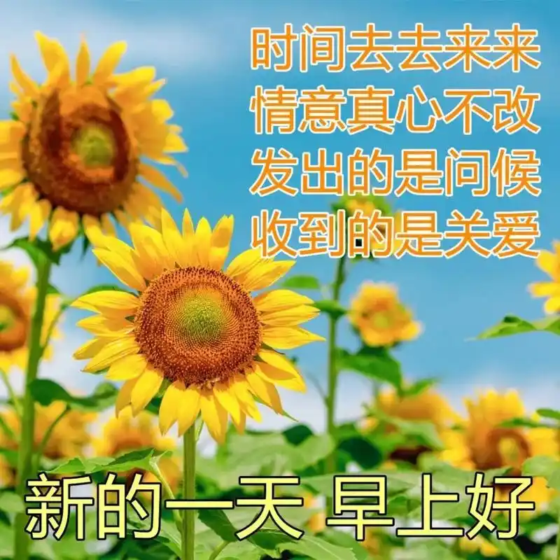 微信群早上问候大家的早上好暖心祝福语,最新早上好温馨漂亮图片