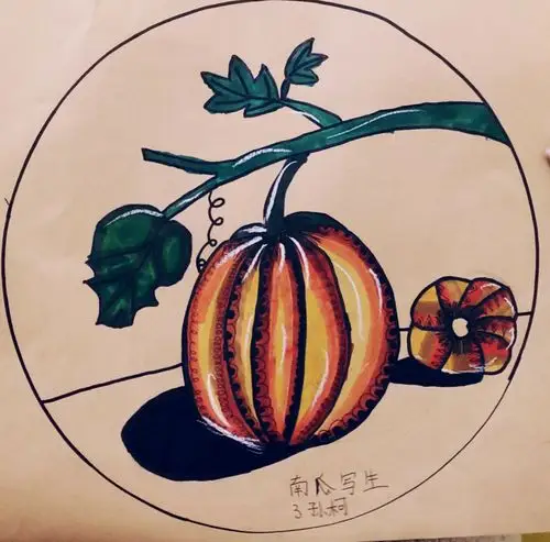 《南瓜-- 写生》