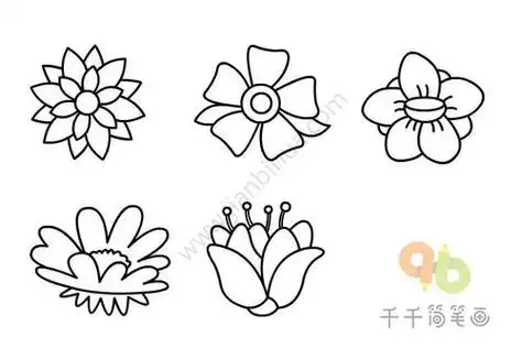 花简笔画大全 花朵简笔画图片大全2 素材之家花朵简笔画大全 太空花简