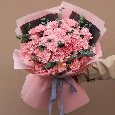 濮阳33朵粉色康乃馨-a|濮阳红豆鲜花店