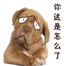你这是怎么了(单身狗)