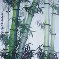 竹子头像唯美图片大全【点击鼠标右键下载】