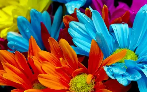 我想找锁屏壁纸