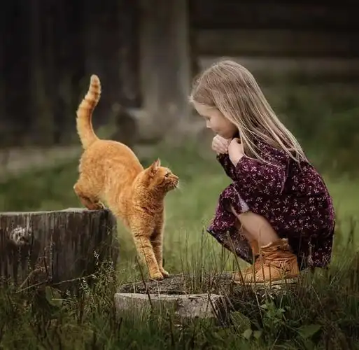 他拍出了世上最暖心的瞬间看完整个人都被治愈了