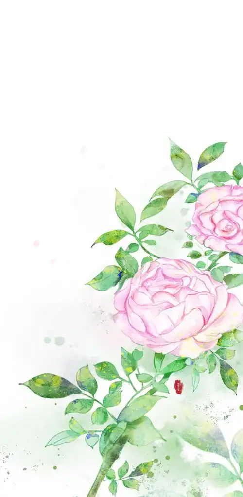 板绘插画壁纸插图小说封面包装水彩