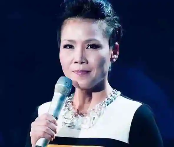 梅艳芳 香港《芳华绝代》沈小岑 《请到天涯海角来》那英 演唱《一笑