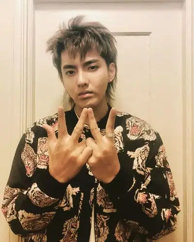 鲻鱼头流行于70年代的摇滚圈,像david bowie ,rod stewart及paul