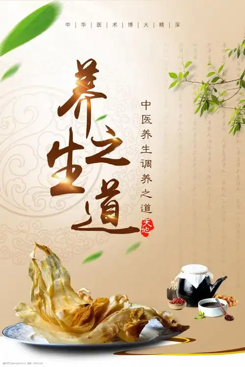 中医养生健康之道展板海报宣传