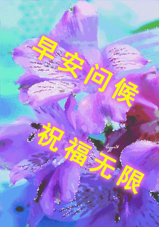 2020年早上好问候表情图片带字带祝福语早安祝福语短信大全