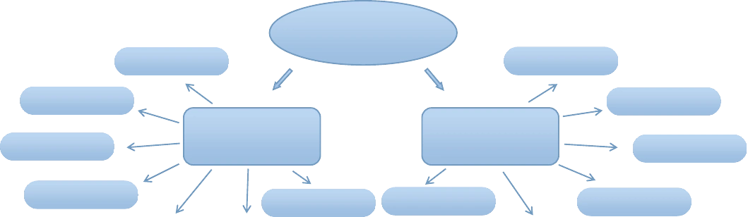 幼儿中班主题网络图