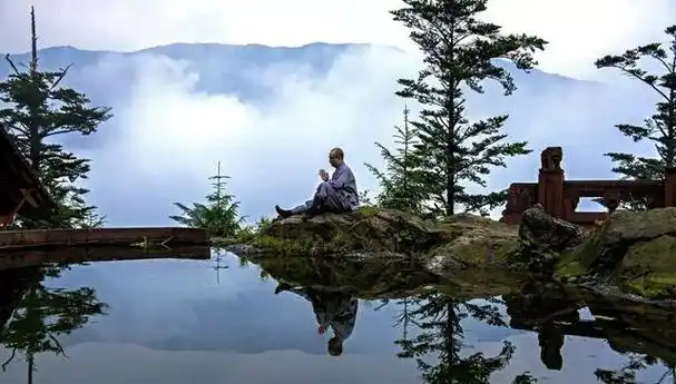 总看到一些诗僧的身影,高僧作诗,总是充满人生的顿悟和妙绝的禅意,我