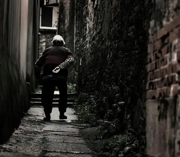 写给母亲作者贾平凹朗诵述华