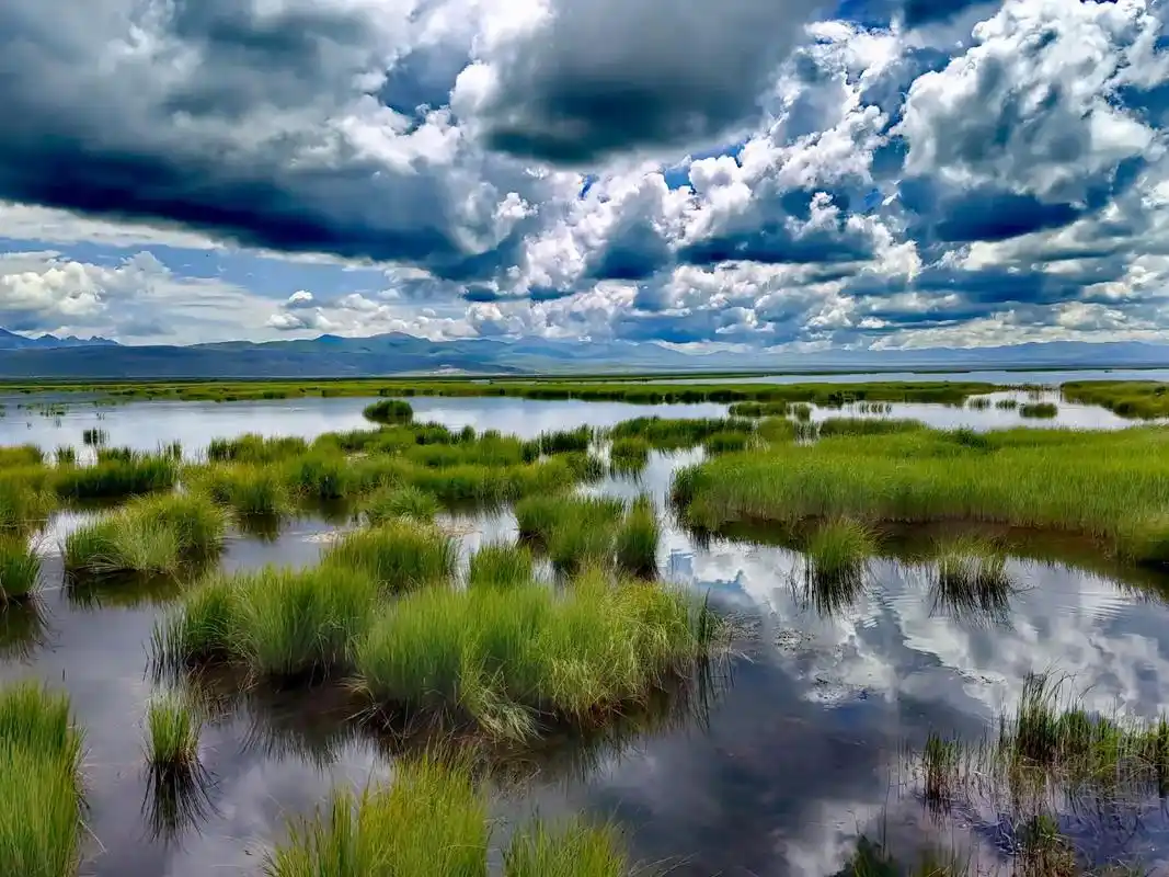 若尔盖花湖 花湖位于若尔盖和甘肃郎木寺之间的213国道旁