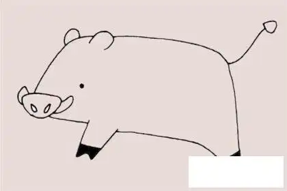 动物简笔画 > 野猪简笔画步骤画法图片大全