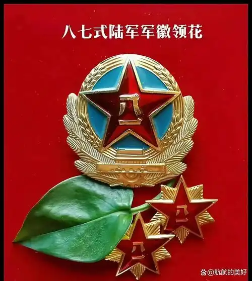 军人的荣耀时刻致敬最可爱的人热血铸就忠诚致敬中国军人八一建军节向